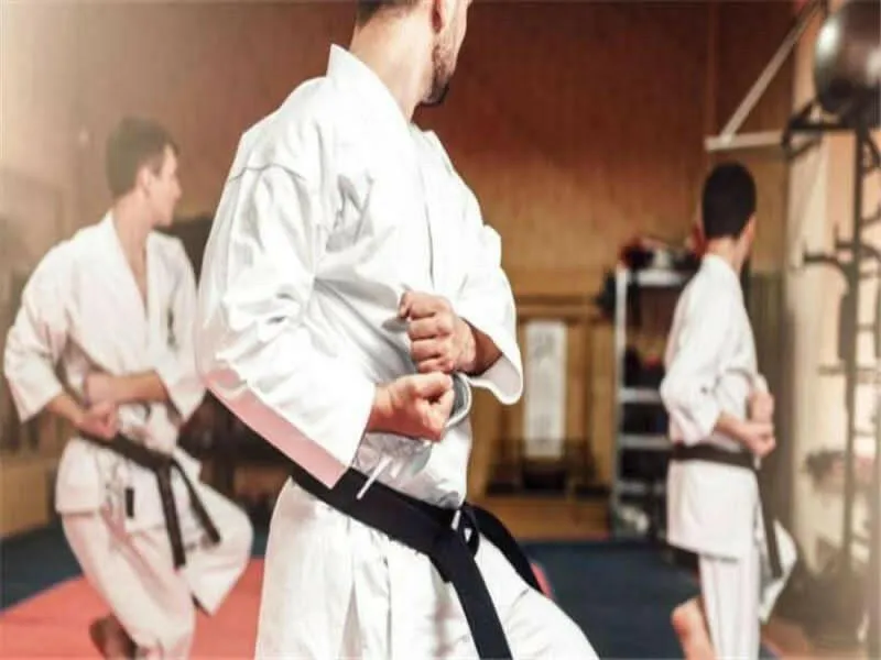 Karate School Business Plan