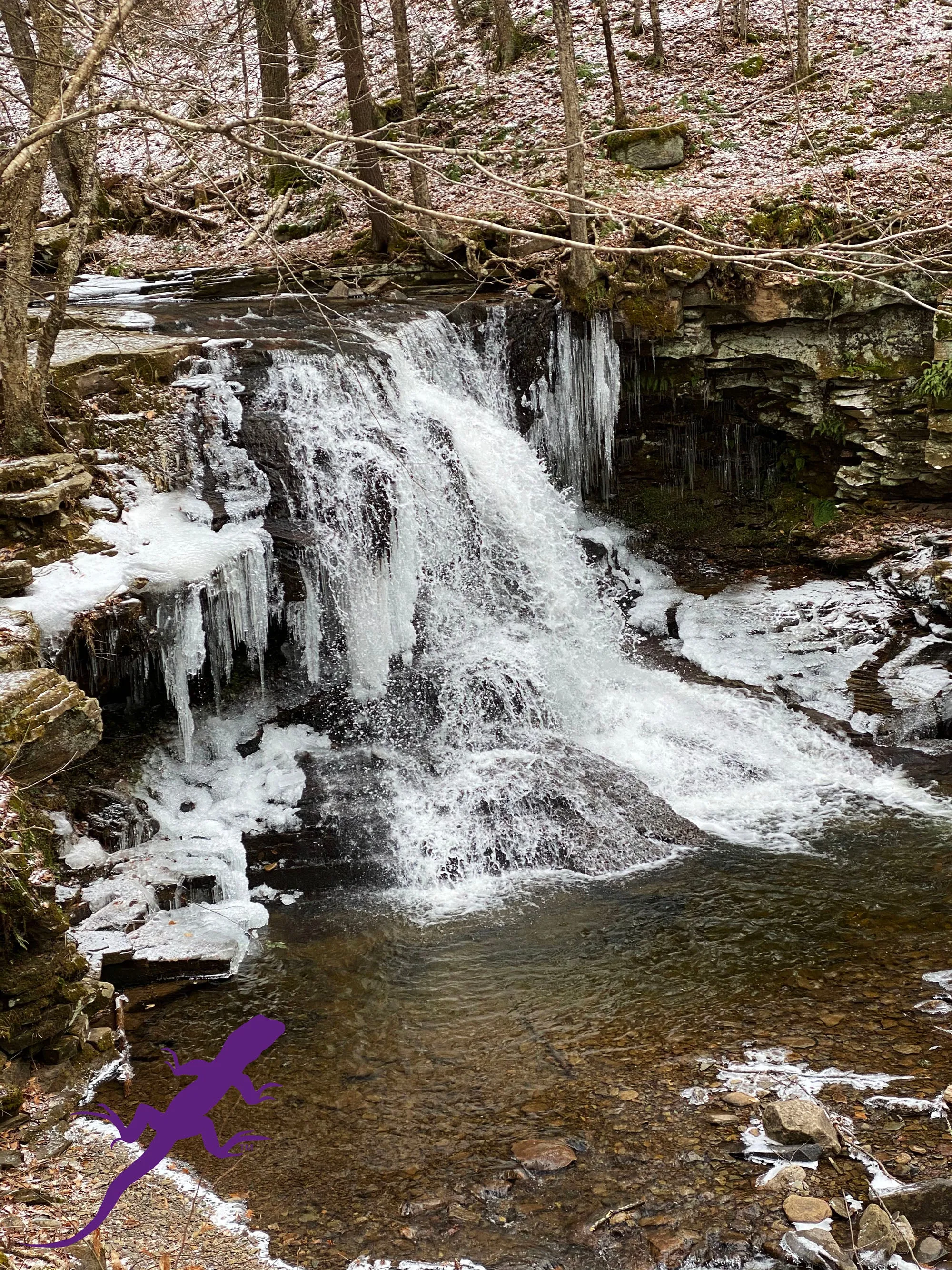 Loyalsock-Worlds End Lizard Map, Pennsylvania