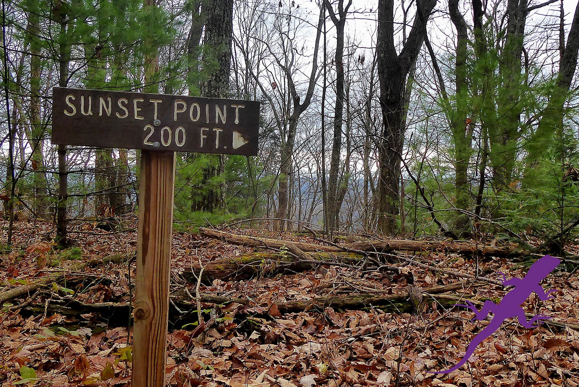 Loyalsock-Worlds End Lizard Map, Pennsylvania