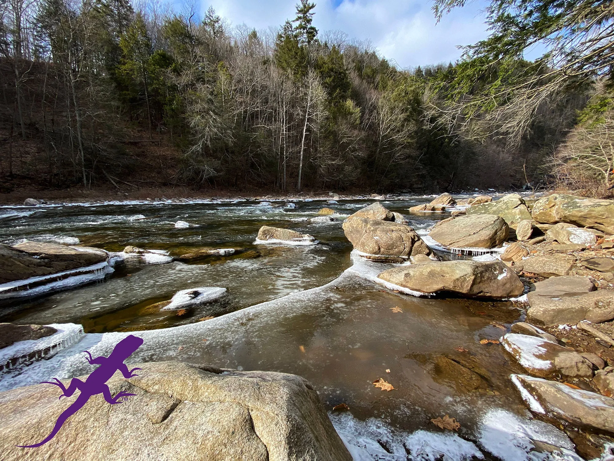 Loyalsock-Worlds End Lizard Map, Pennsylvania