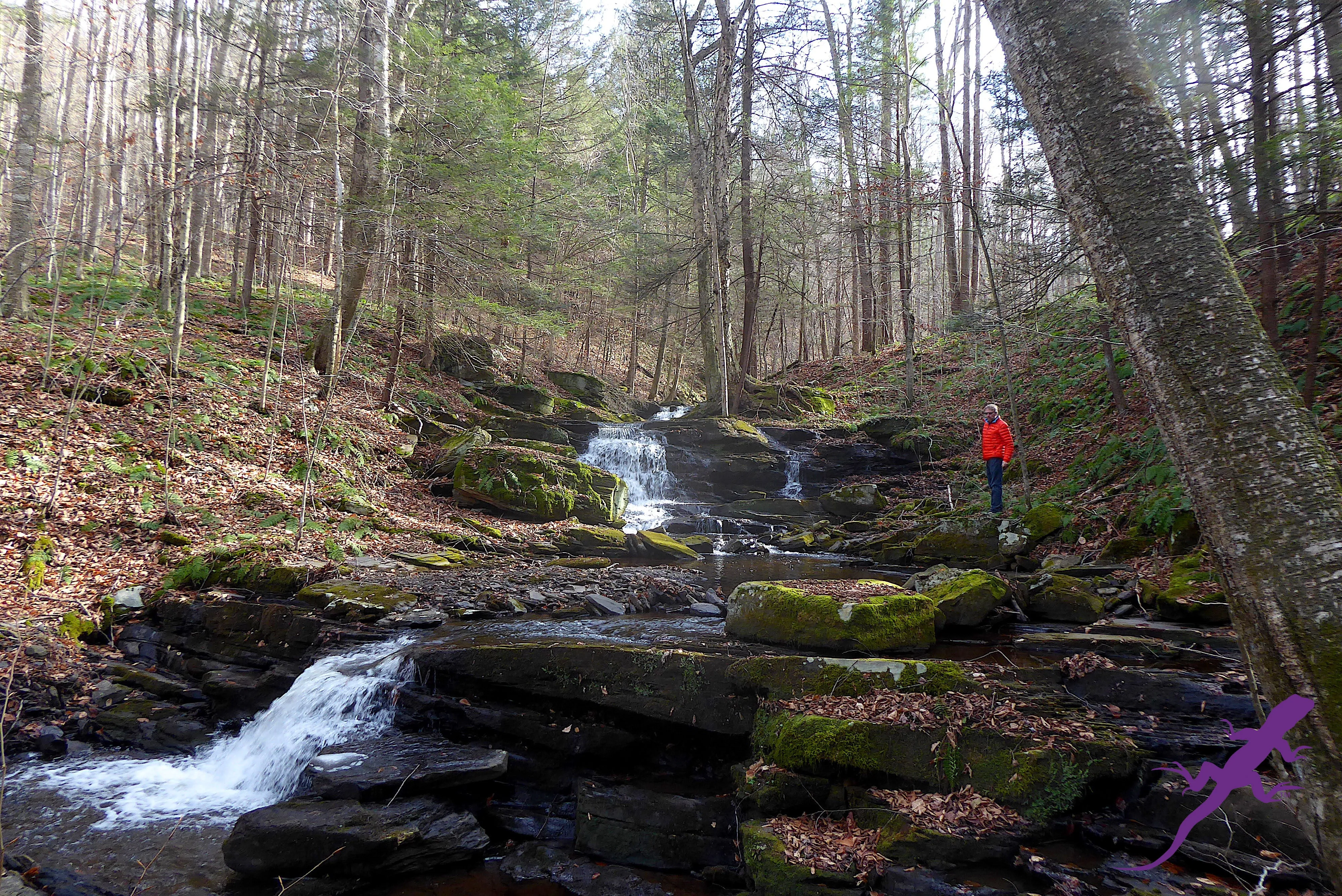 Loyalsock-Worlds End Lizard Map, Pennsylvania