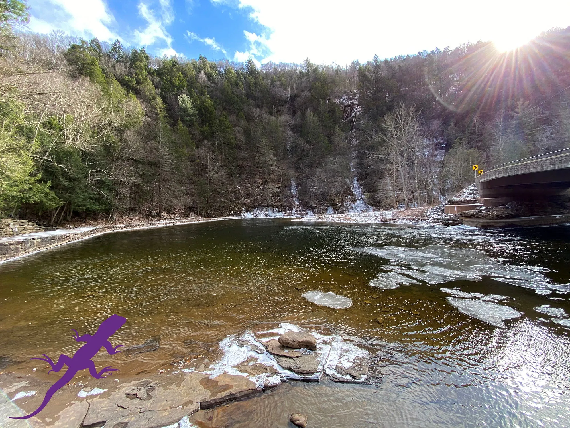 Loyalsock-Worlds End Lizard Map, Pennsylvania