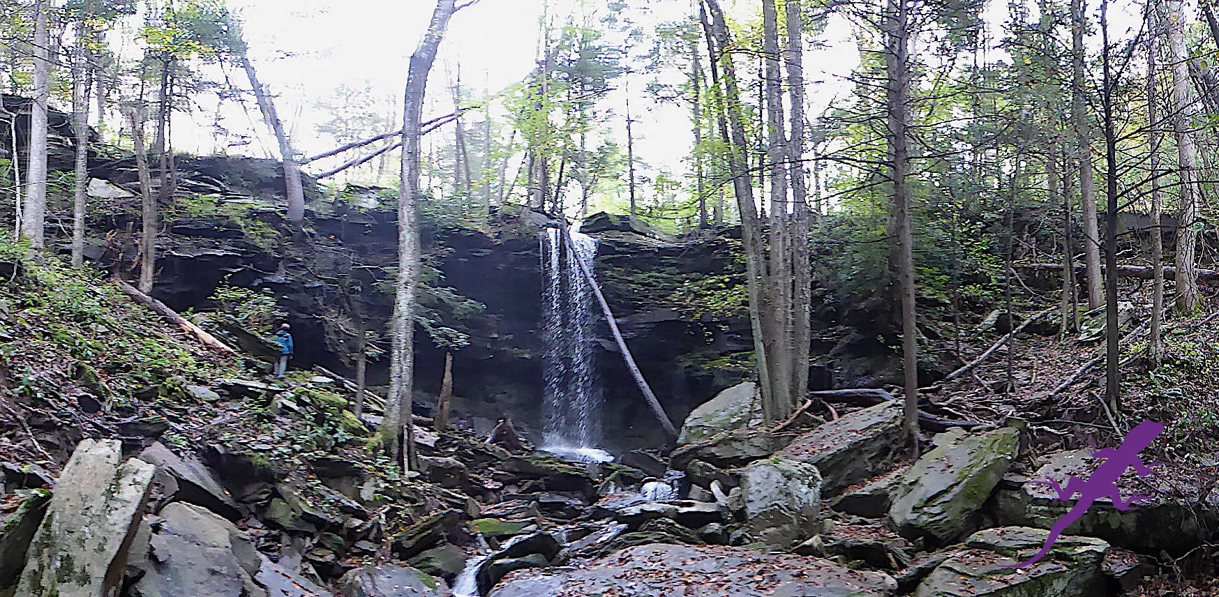 Loyalsock-Worlds End Lizard Map, Pennsylvania